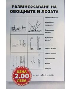 Размножаване на овощните и лозата
