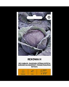 СК СЕМЕНА ЗЕЛЕ ЧЕРВЕНО РЕКСОМА Х RED CABBAGE REXOMA H