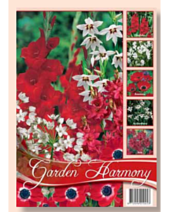 Лятна колекция от луковици микс за градина в червено и бяло / Collection Flowerbulbs for Summergarden in red and white / 1 оп (75 бр )
