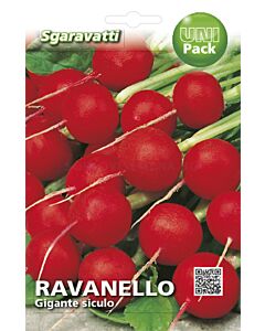Семена репички Gigante siculo`SG