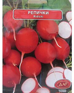 Сорт репички Сакса. Аграра ООД. Сортови семена Варна
