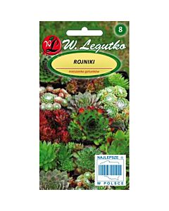 Семена Дебелец микс  / Sempervivum sp. mixture /LG 1 бр