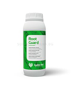 Root Guard