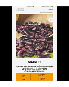 СК Фасул Скарлет RUNNER BEAN SCARLET