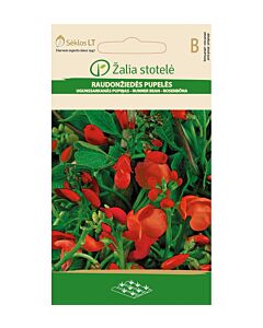 СК МНОГОЦВЕТЕН ФАСУЛ СКАРЛЕТ-SCARLET RUNNER BEAN