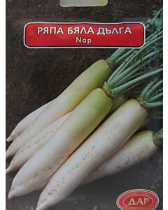 Сорт ряпа Бяла дълга. Аграра ООД. Сортови семена Варна
