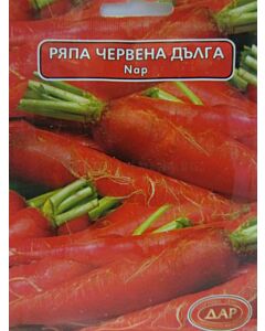 Сорт ряпа Червена дълга. Аграра ООД. Сортови семена Варна