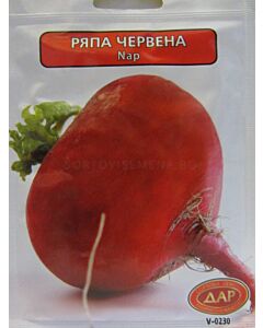 Сорт ряпа Червена кръгла. Аграра ООД. Сортови семена Варна
