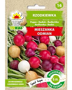 ТОРАФ СЕМЕНА РЕПИЧКИ МИКС  ЛЕНТА 6М