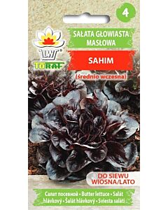 Салата маслена глава Sahim - Lactuca sativa L.-1г