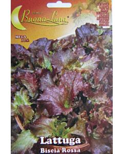 Салата (Lettuce) Biscia Rossa