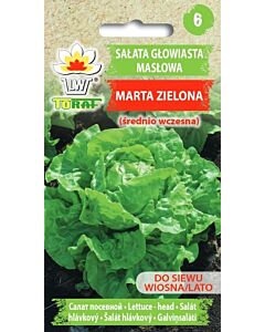 Салата маслена глава-Marta Zielona-Lactuca  sativa L. - 1г