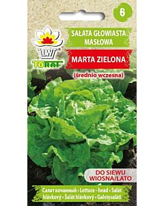 ТОРАФ Семена салата тип маслена глава МАРТА (средно ранна) Salata maslowa Marta Zielona TF - 1г