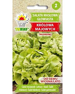 ТОРАФ САЛАТА тип Маслена глава  КРОЛОВА Salata maslowa Krolowa Majowych TF - 2г