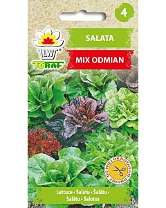 ТОРАФ СЕМЕНА САЛАТА МИКС Salata mix odmian | Lactuca sativa TF - 1г