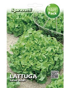Семена салата Salad Bowl`SG - lettuce Salad Bowl`SG