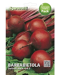 Семена салатно цвекло Детройт 2`SG