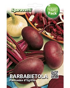Семена салатно цвекло Paonazza D’egitto`SG