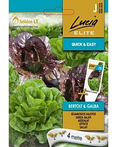 Салата на ленти Бертолт и Галба / LETTUCE, BERTOLT&GALBA / SK 4 метра 