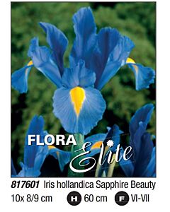 Ирис hollandica Sapphire Beauty: Пакет- 1 оп. - 10 бр.