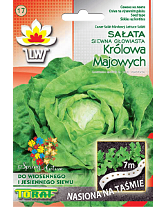 Салата Królowa Majowych - лента 7м
