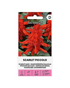 СК СЕМЕНА САЛВИЯ SCARLET