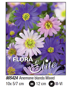 Анемоне blanda mixed - 1 пакет от 10 бр.