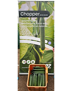 Семена краставици Chopper F1 - 250 семена