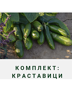 Комплект: Краставици