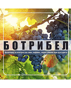 Ботрибел