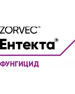 Зорвек Ентекта - 0,25