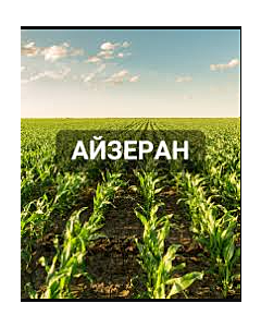 Айзеран - 5л