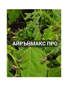 Айрън Макс про - 20кг