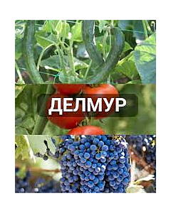 Делмур - 5л