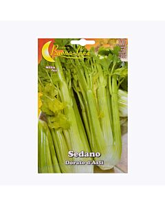 Целина дръжкова (селъри) DORATO D'ASTI MEGA PACK - BL