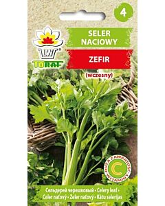 Целина дръжкова Zefir (ранна) - TF-0.5 г