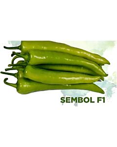 Семена пипер чорбаджийски сладък Sembol F1 - 1000 бр.семена