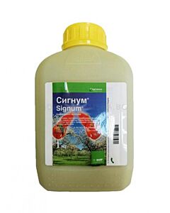 Сигнум