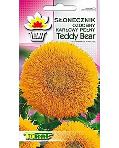 Слънчоглед нисък, кичест Teddy Bear -2 г