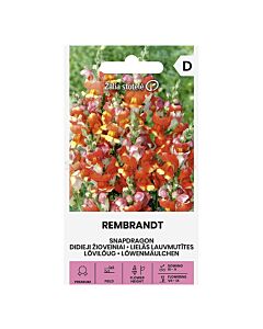 СЕМЕНА КУЧЕНЦА REMBRANDT - СК