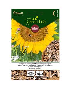 Семена слънчоглед ядлив / SUNFLOWER Yellow Giant / 'SK - 1 оп