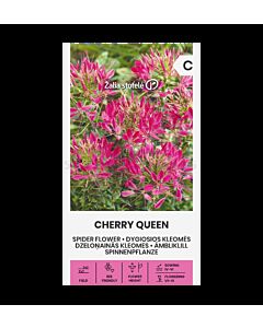 СК КЛЕОМЕ CHERRY QUEEN, CLEOME