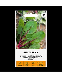 СК СПАНАК ЧЕРВЕНО ТАБИ Х SPINACH, RED TABBY H