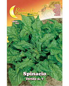 Семена Спанак SPINACIO IBRIDO N.7 MEGA PACK - BL