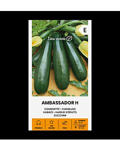 СК ТИКВИЧКИ АМБАСАДОР Х SQUASH, AMBASSADOR H