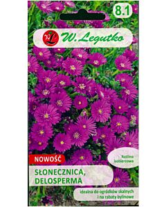 Делосперма /Delosperma ecklonis purple-pink / LG 1 оп