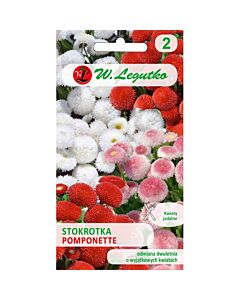 ЛГ ПАРИЧКИ ПОМПОНЕТ МИКС Bellis perennis Pomponette mixture