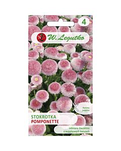 ЛГ ПАРИЧКИ ПОМПОНЕТ РОЗОВИ Bellis perennis Pomponette pink