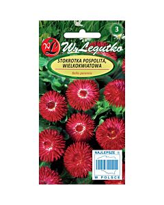 ЛГ МАРГАРИТКИ ЧЕРВЕНИ Bellis perennis large fl. Gracja red 