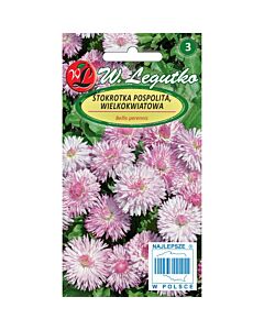 ЛГ МАРГАРИТКИ РОЗОВИ Bellis perennis large fl. Maria pink